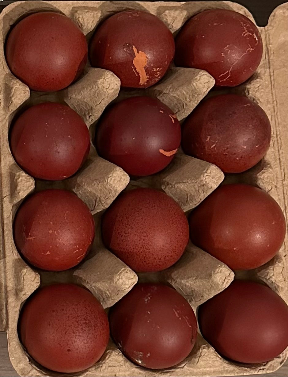 Black and Blue Copper Marans Hatching Eggs (Only 1 Dozen is permitted per Order!)