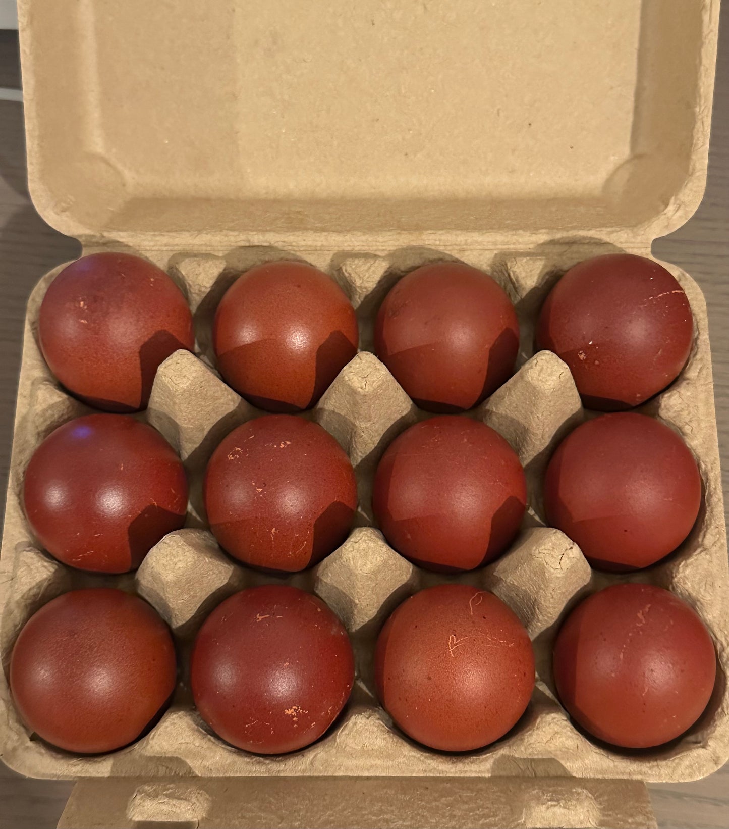 Black and Blue Copper Marans Hatching Eggs (Only 1 Dozen is permitted per Order!)