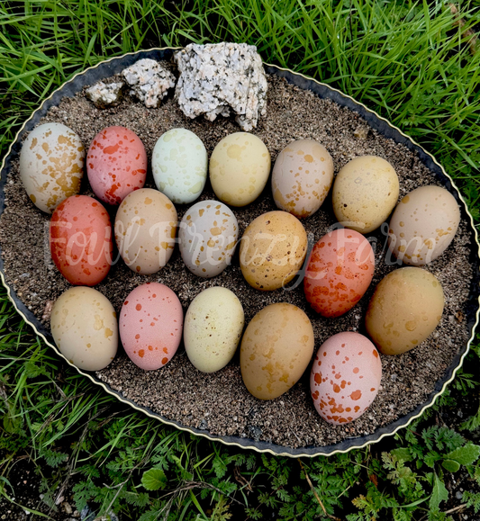 Moody Bloomy’s Dozen (Shipping Included)