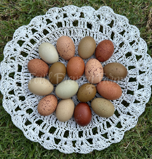 Speckled Moldy Egger Dozen (Shipping Included)