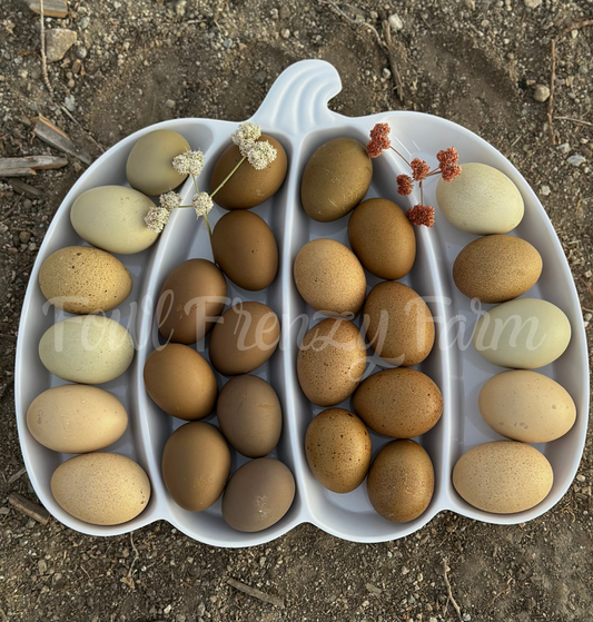 Multigenerational Moldy Eggers (Shipping Included)